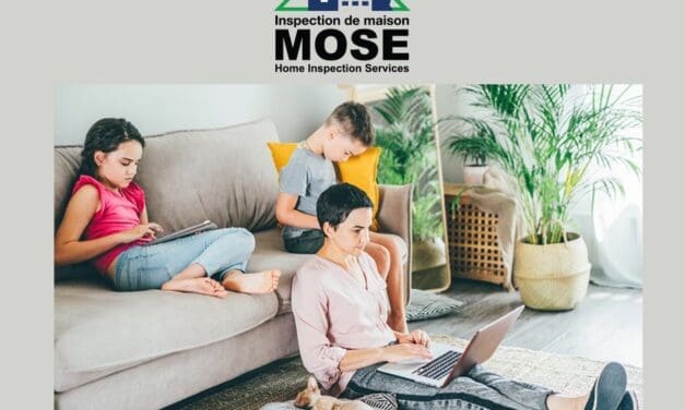 Mose Home Inspection Services