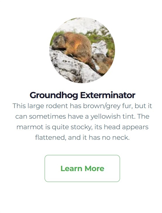 Pro_nature_extermination_11
